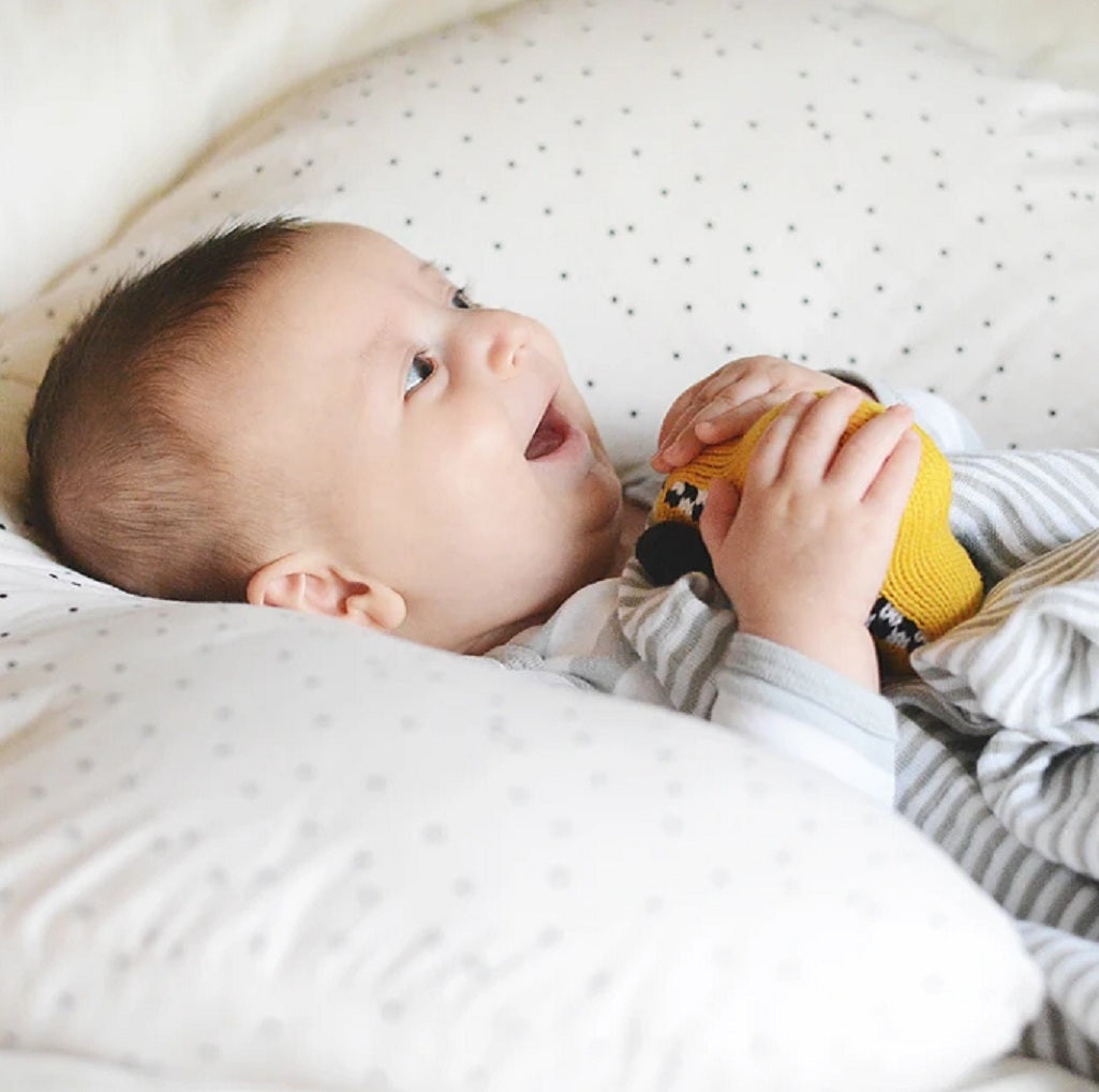 2021 Guide to the Best Baby Toys and Gifts for Infants Newborn to 18 Month Olds