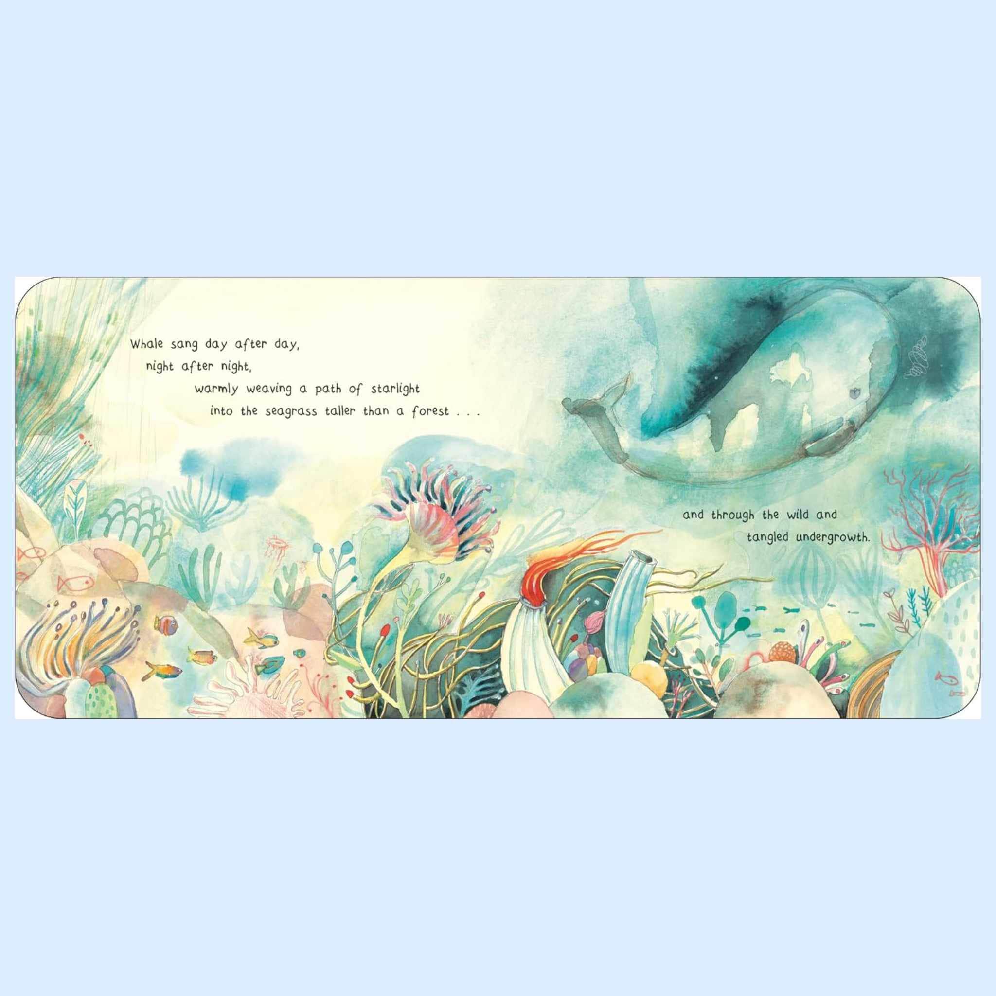 Estella Baby Books The Heart of a Whale Children’s Book