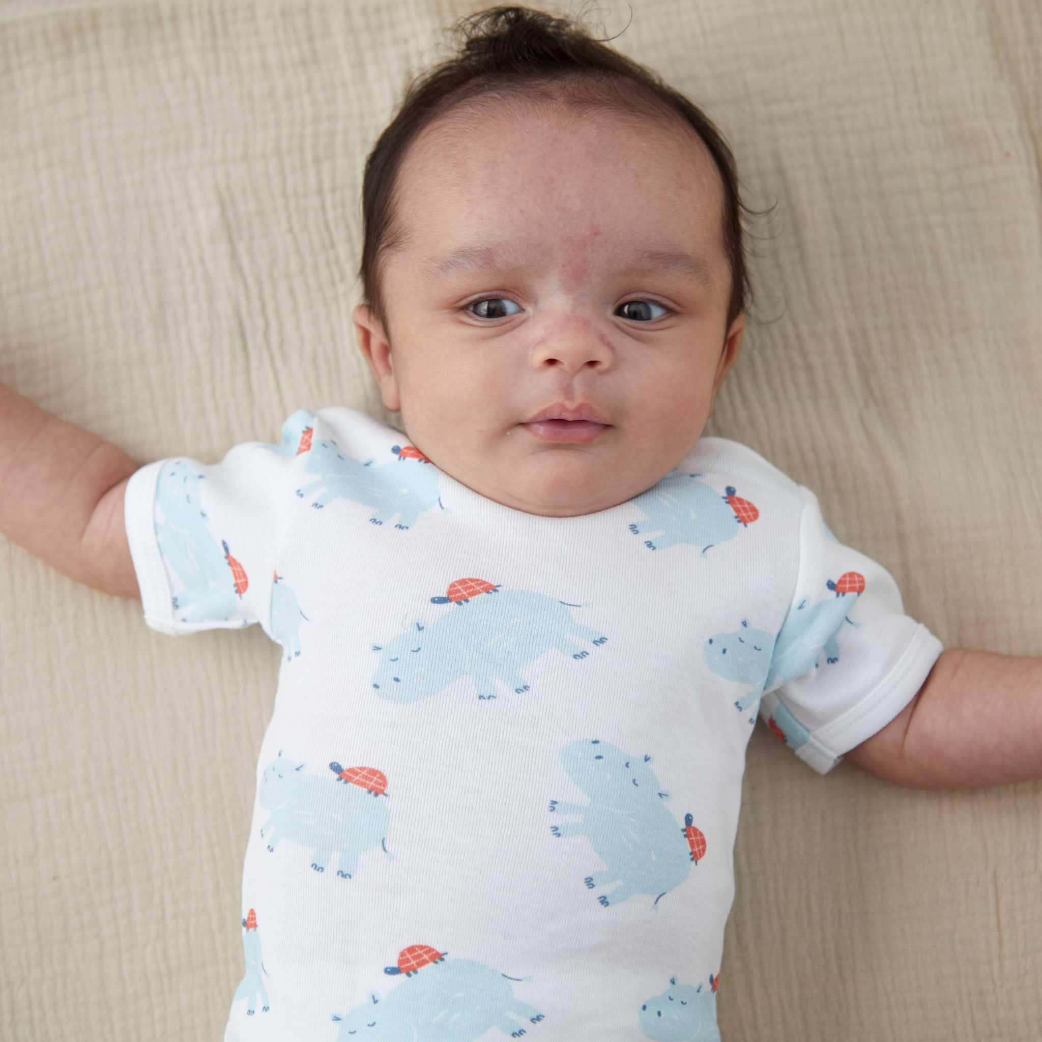 Estella Baby Clothing Organic Blue Hippo and Turtle Print Bodysuit - Blue