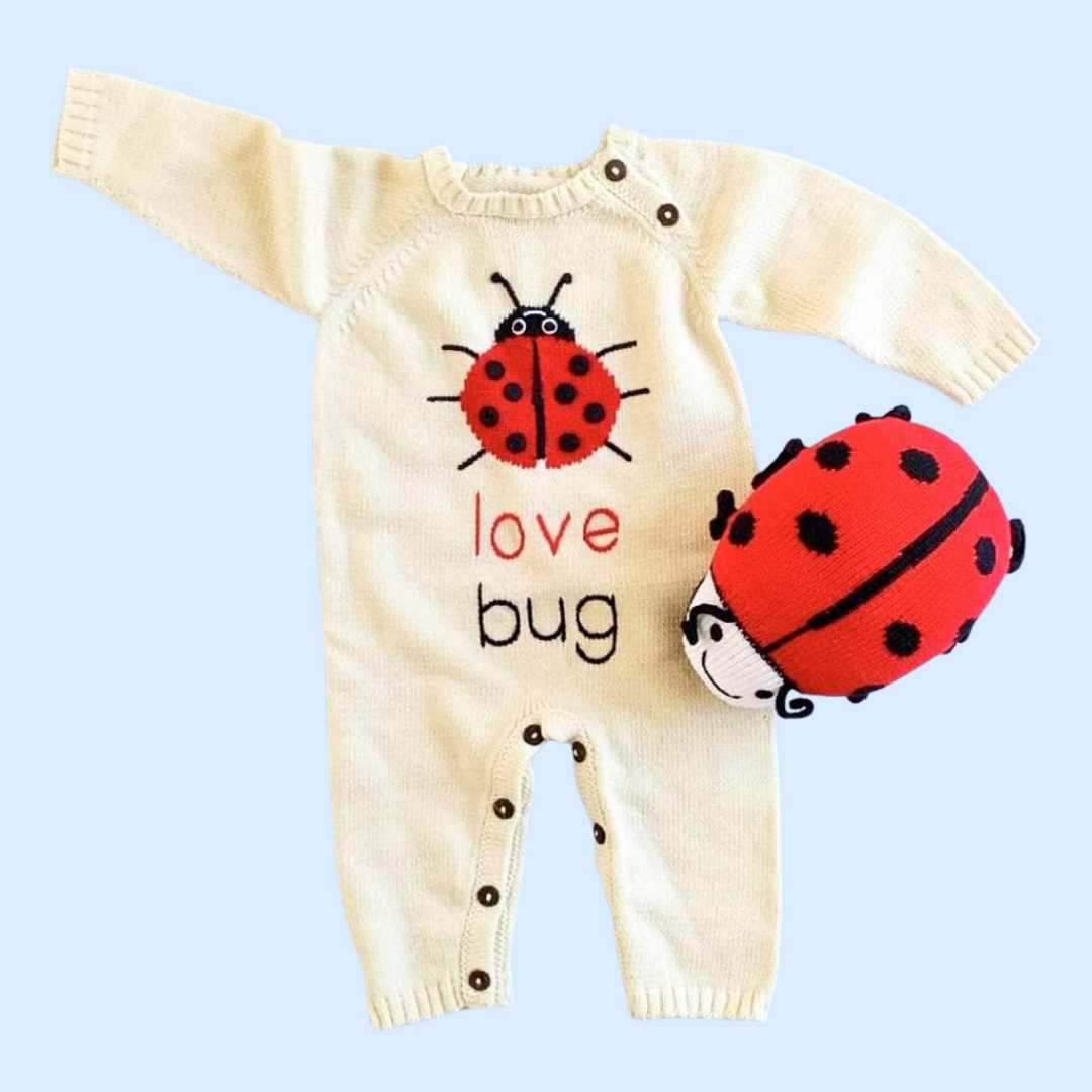 Knitted Ladybug Baby Gift Set | Organic Romper & Plush Love Bug
