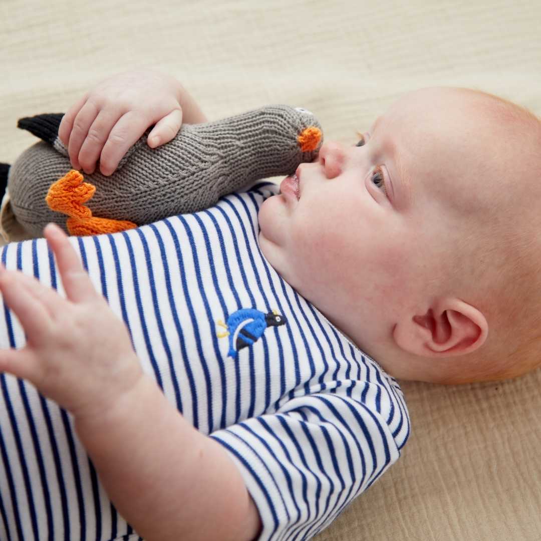 Estella Baby One-Pieces Pedro the Pigeon Bodysuits