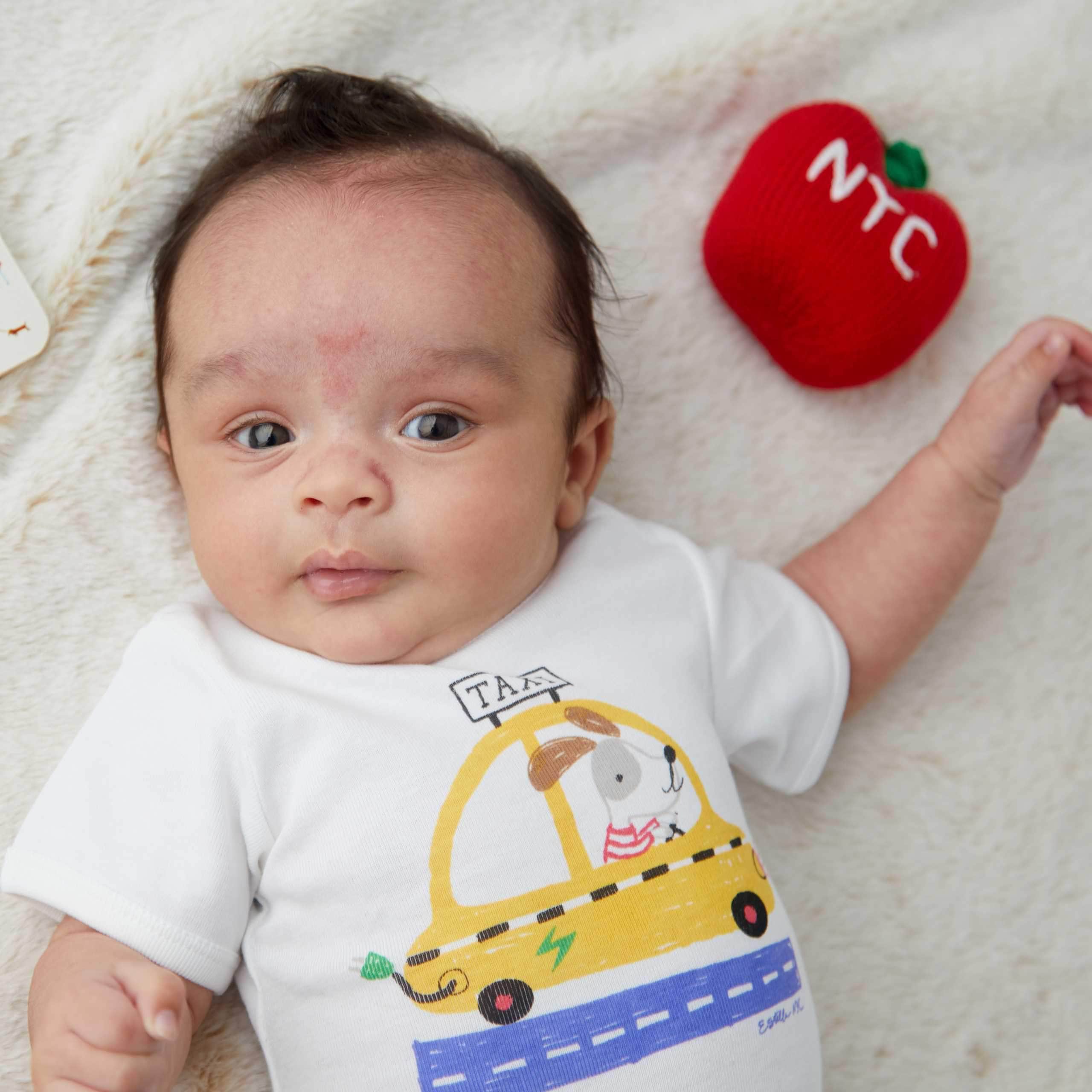 Estella Baby Toys Organic NYC Apple Rattle