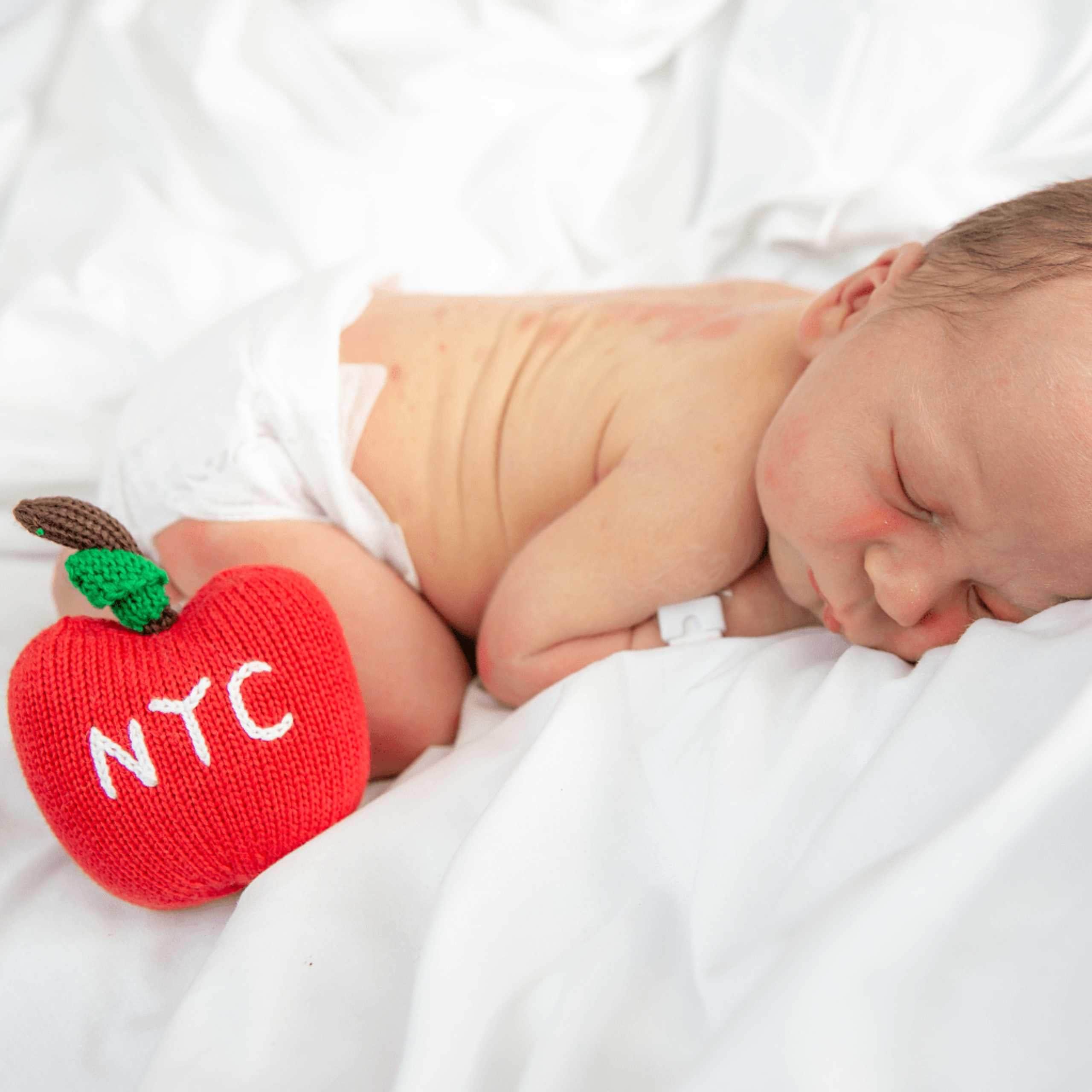 Estella NYC Rattles NYC Apple Rattle