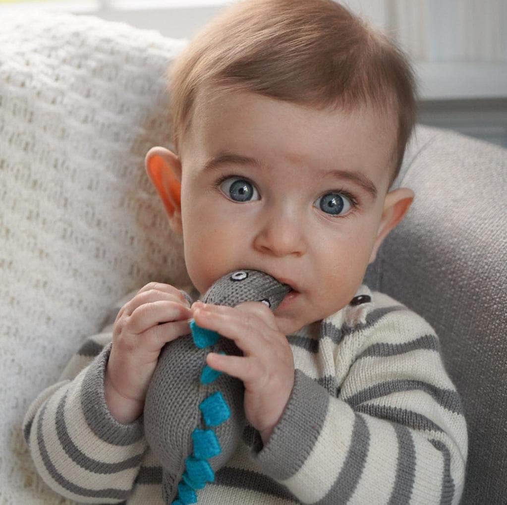 organic baby dinosaur stegosaurus rattle toy. Grey, blue and black and white eyes.