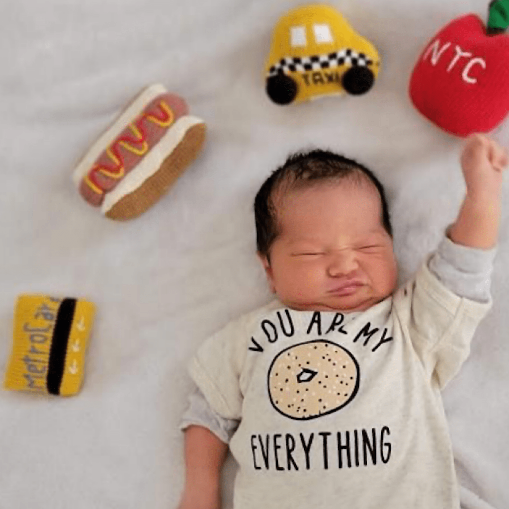 Estella Baby Gift Set, NYC theme with Organic Embroidered Bodysuits, Toys & Book for Newborns and Infants