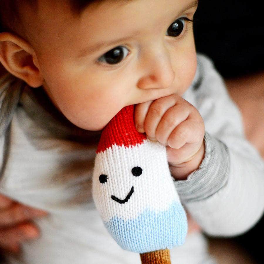Estella Food Rattles Popsicle Rattle