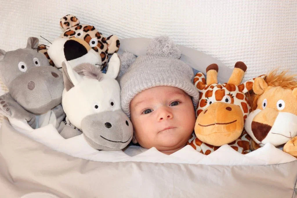 1-month newborn baby toys