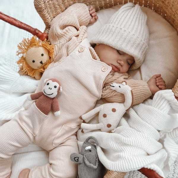 Most loved baby gifts - animal rattle toys on baby
