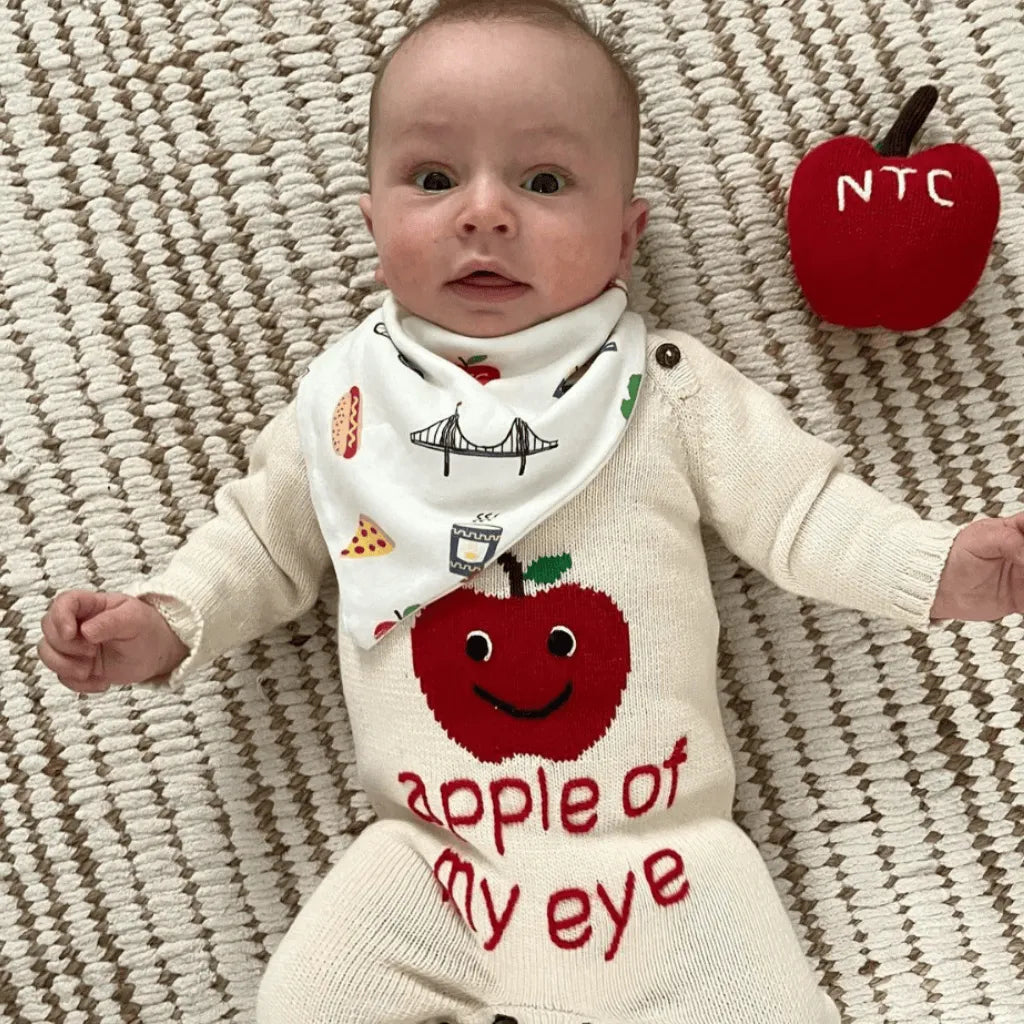 Organic Baby Bibs