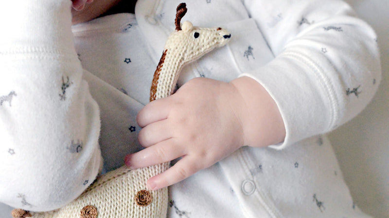 Baby with giraffe rattle toy