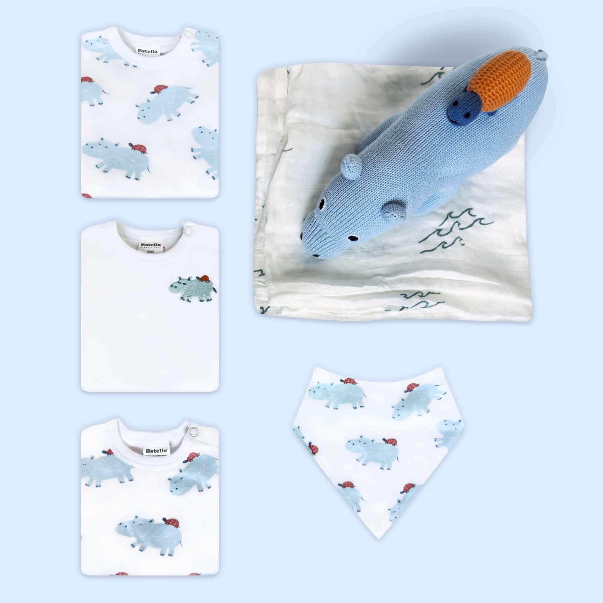Estella Animal Gifts Blue / 0-3 months Friendship Baby Gift Set