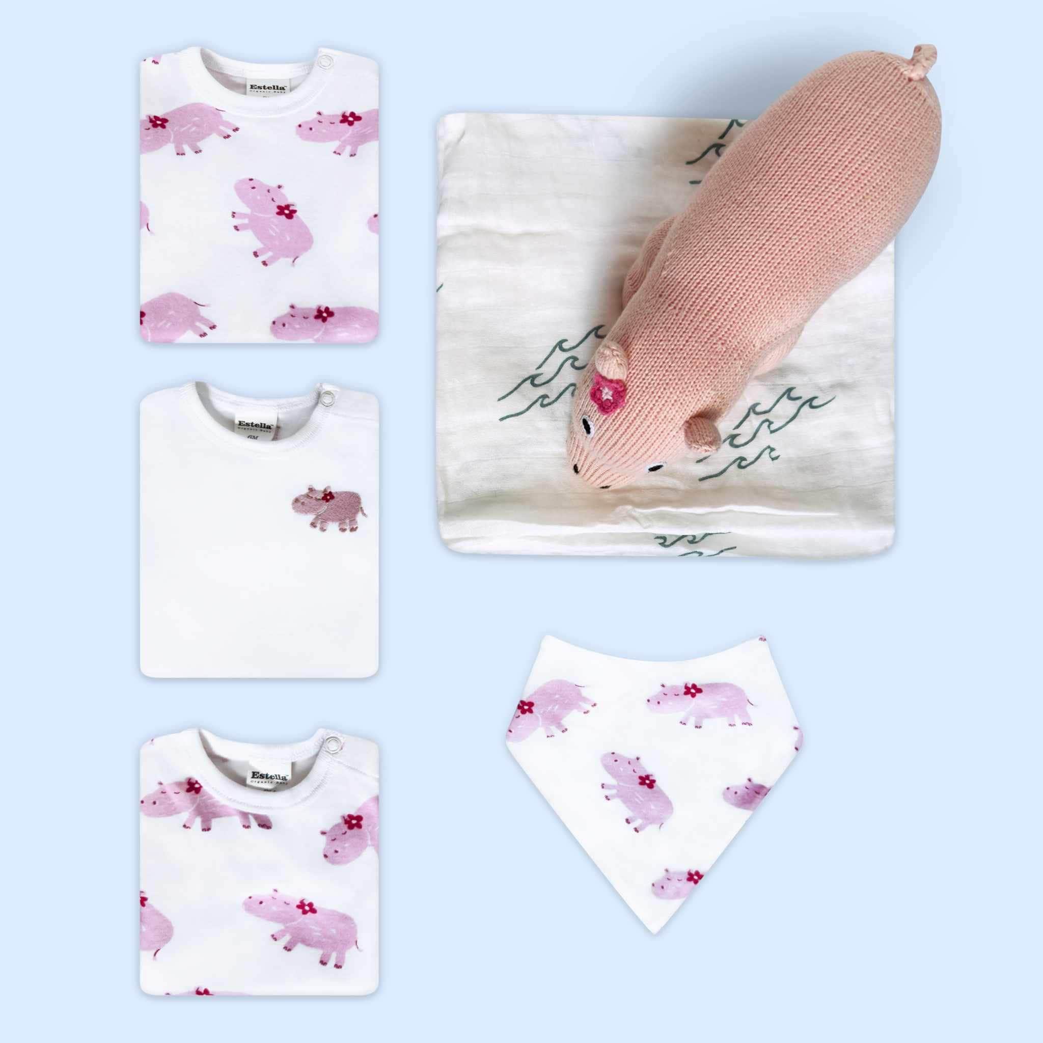 Estella Animal Gifts Pink / 0-3 months Friendship Baby Gift Set