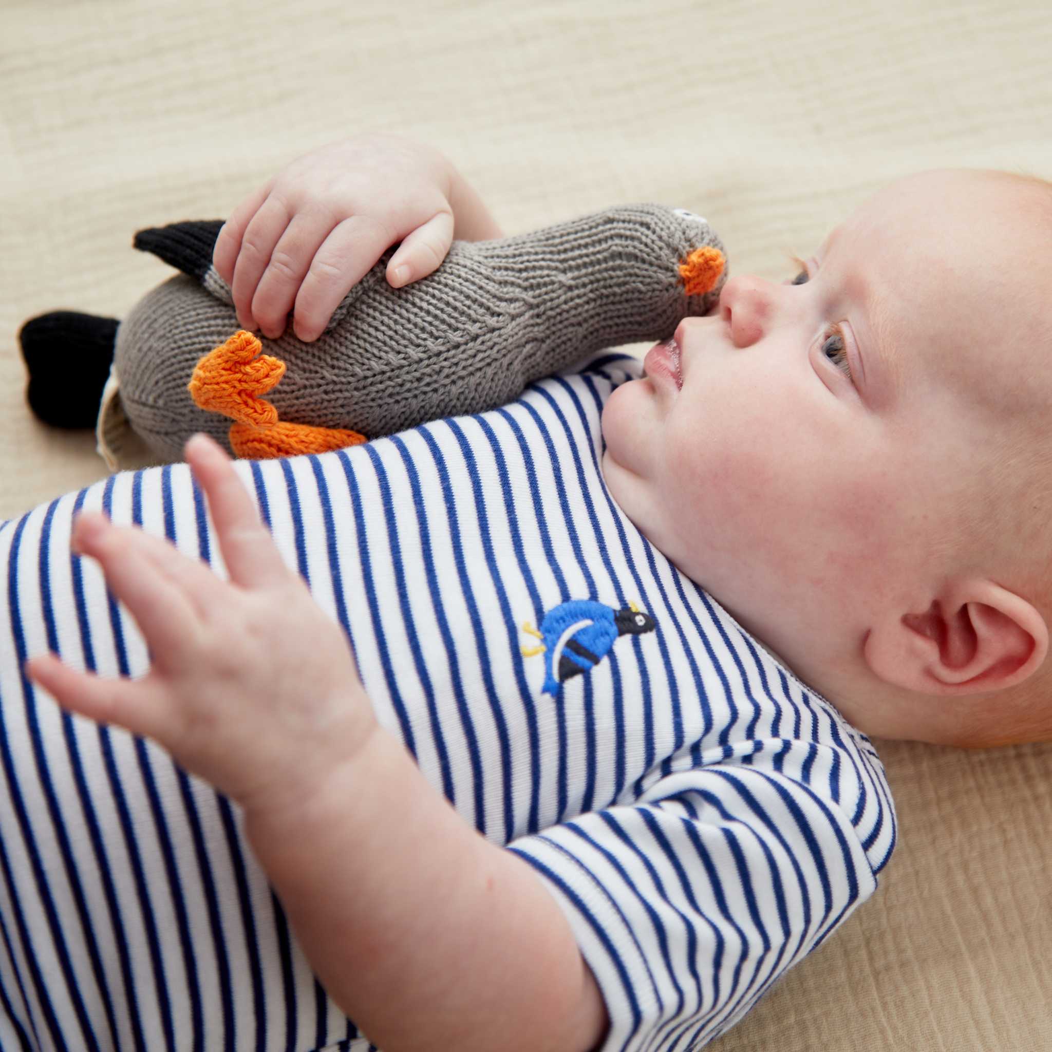 Estella Animal Rattles Pedro the Pigeon Rattle