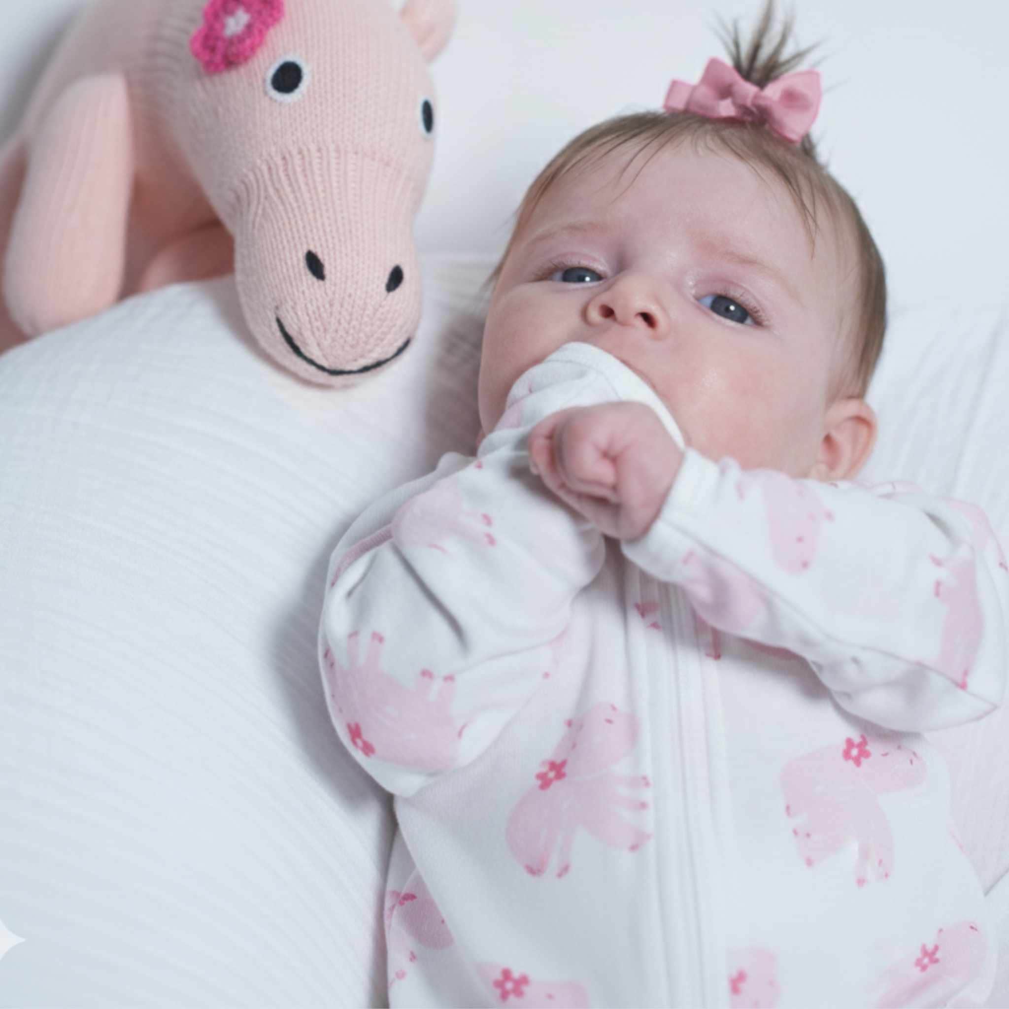 Estella Baby Clothes Zip Rompers with Hippo Embroidery