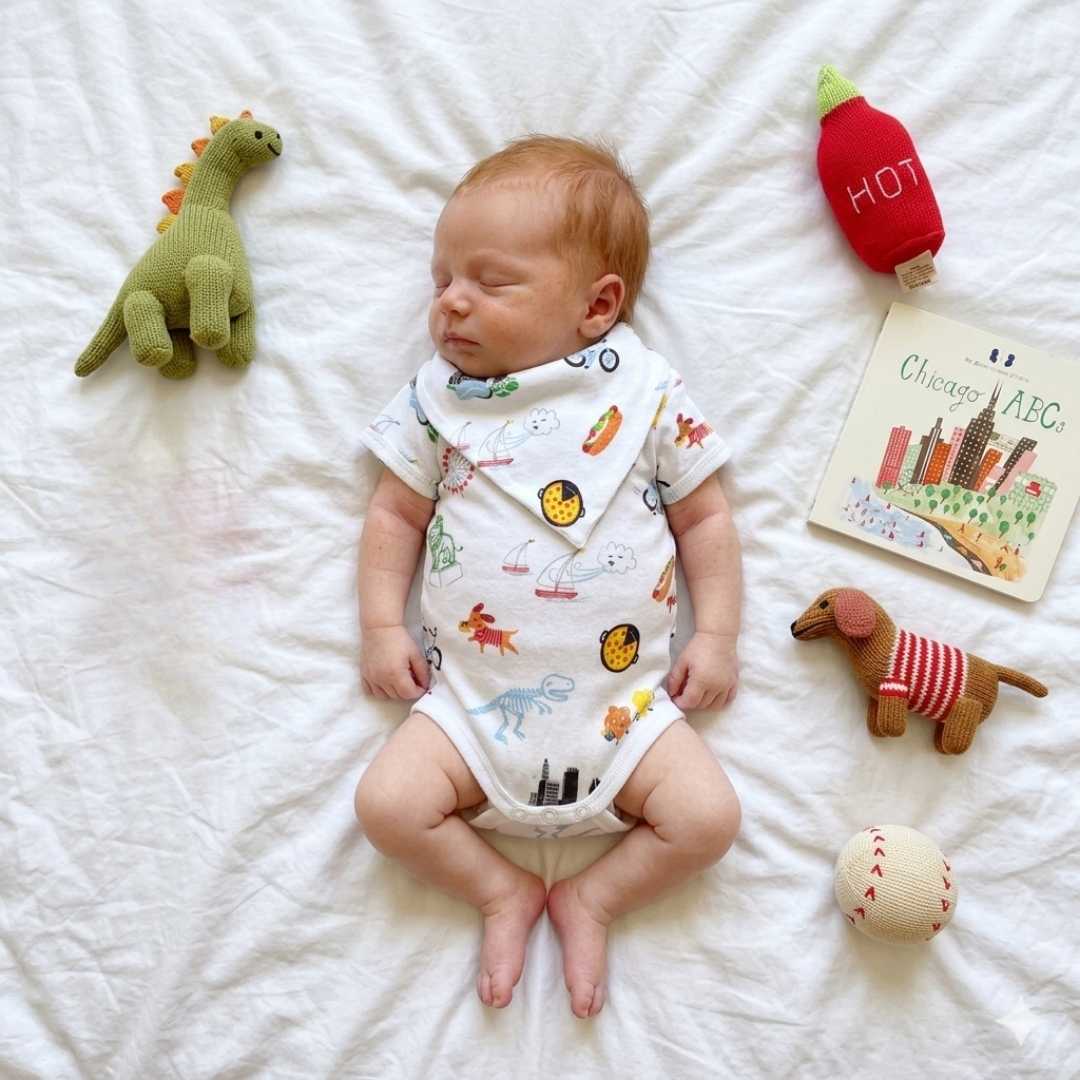 Estella Baby Gift Sets Chicago Baby Gift Set