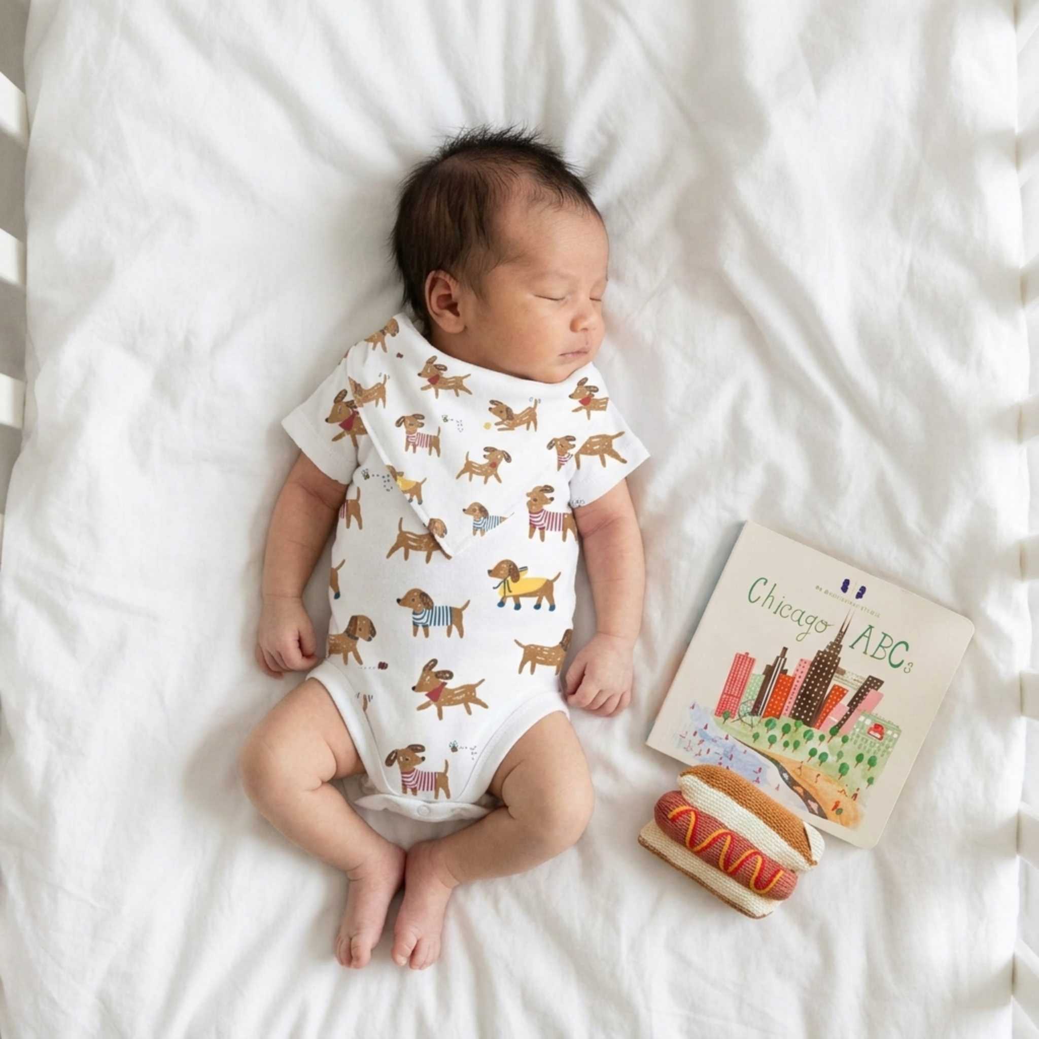 Estella Baby Gift Sets Chicago Pups Gift Set