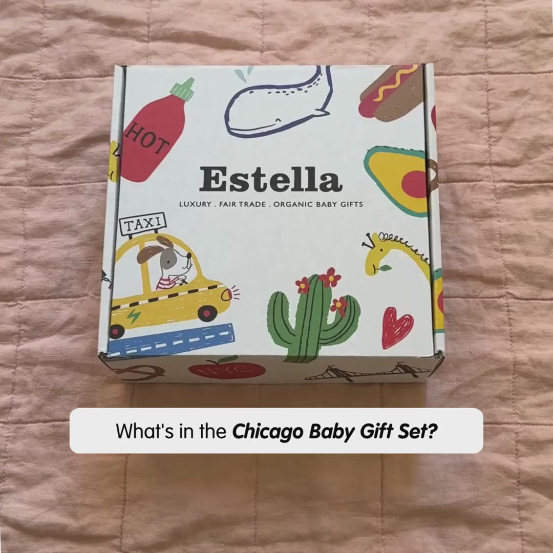 Estella Baby Gift Sets Organic Chicago Baby Gift Set