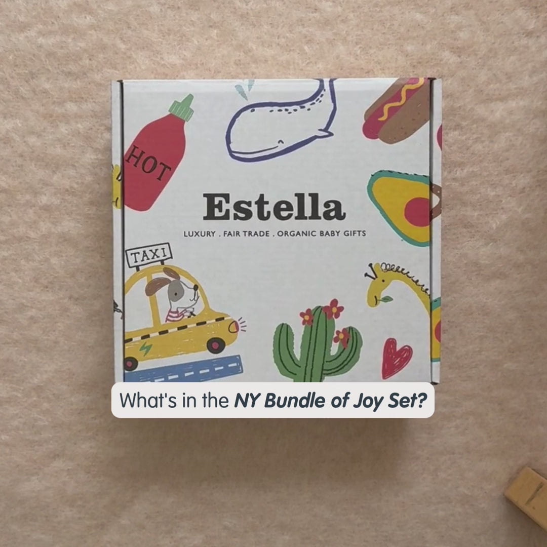 Estella Baby Gift Sets Organic NY Bundle of Joy Set