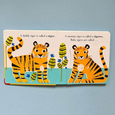 Animal Families: Jungle Baby Board Book by Nosy Crow - {{variant_option_1}}