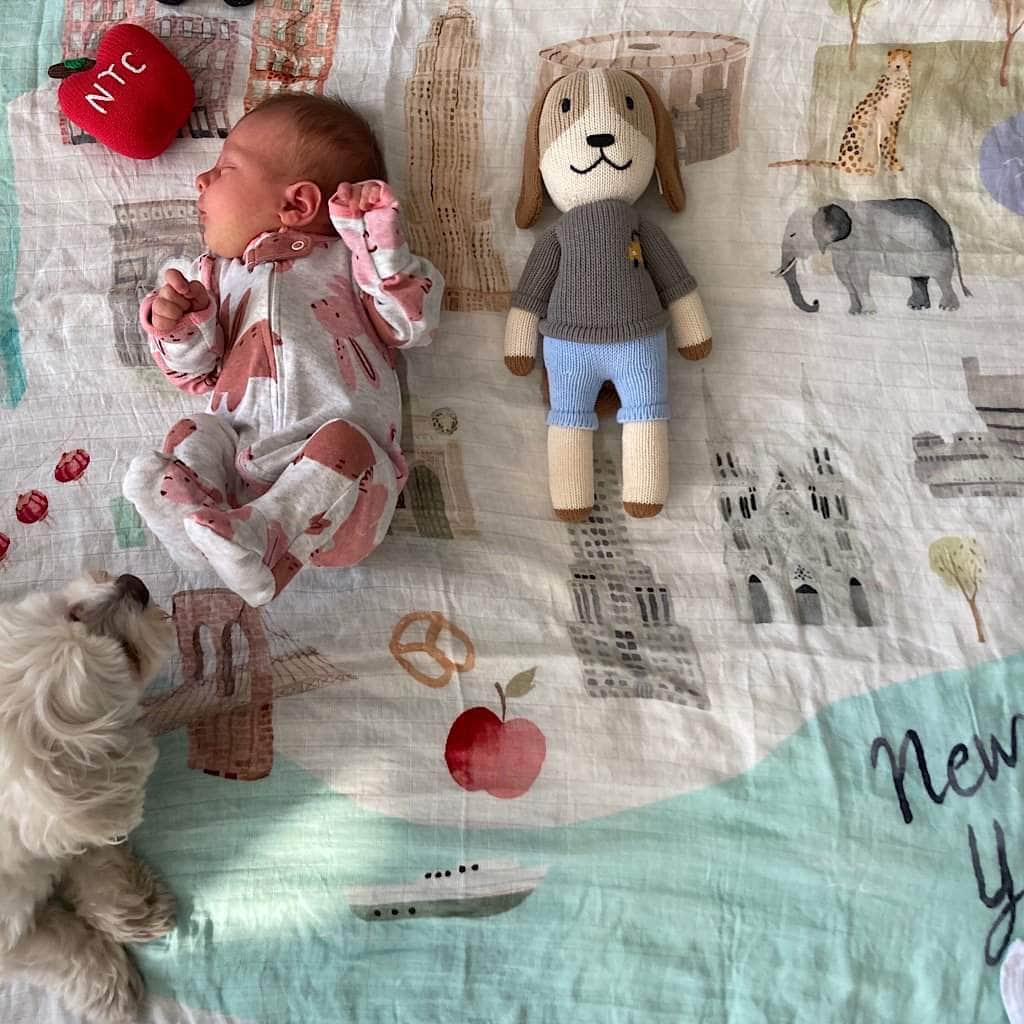 A tiny baby sleeping on the NYC swaddle blanket with Frank the dog doll, our NYC Apple rattle and the baby's puppy.