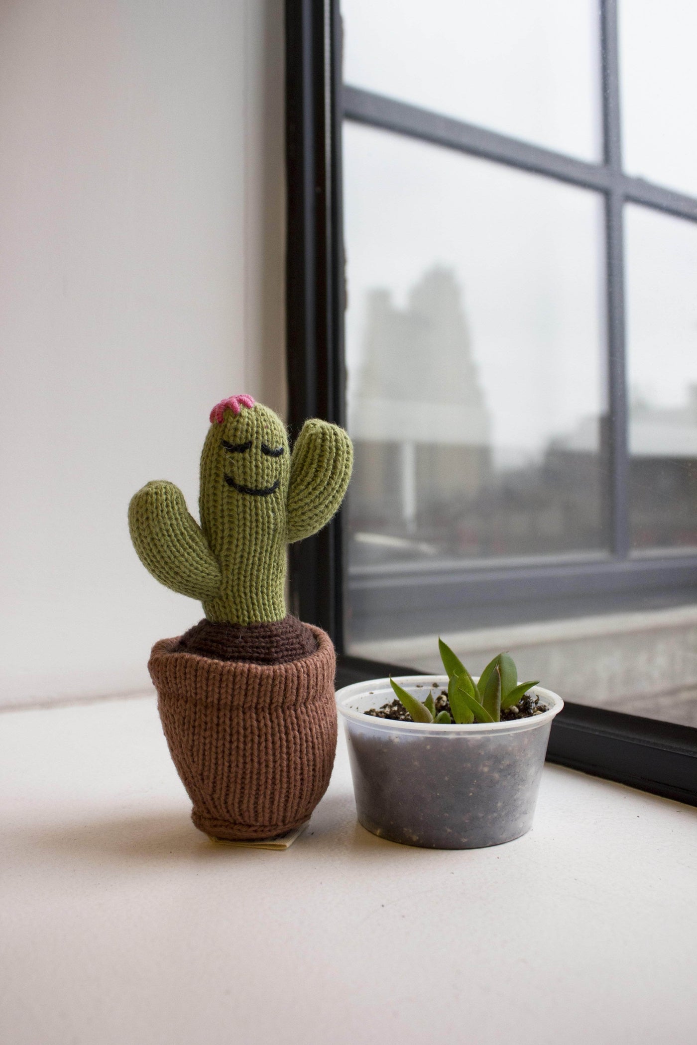 Wholesale Baby Rattle Toy-Cactus (Handmade) for your store - Faire