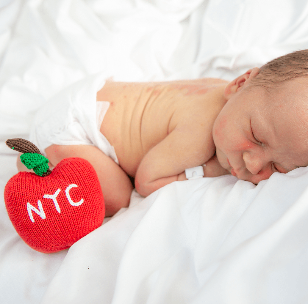 Apple Core Rattle Toy Shop Organic Big Apple Rattle Baby Toy | Estella